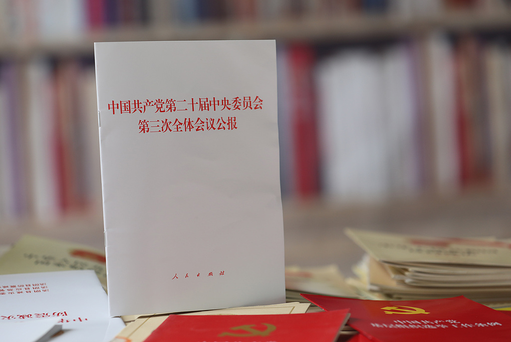 深刻理解习近平总书记关于发展战略的重要论述（深入学习贯彻习近平新时代中国特色社会主义思想）
