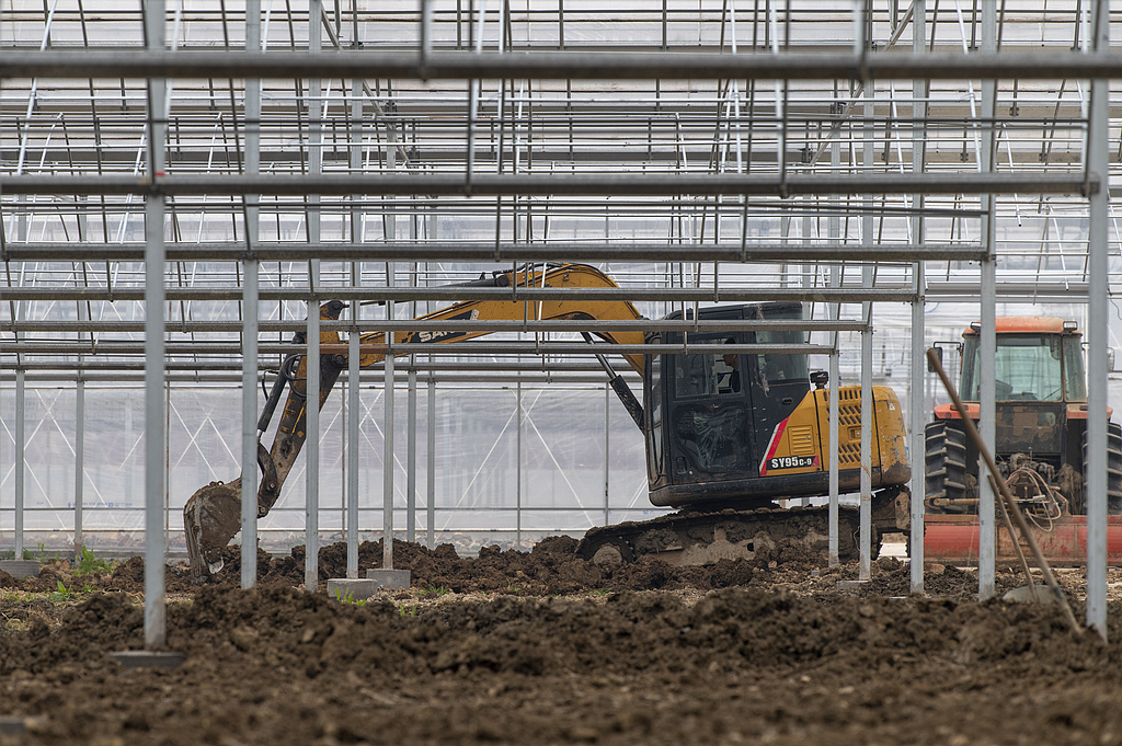 浙江金华：工作人员移苗作业