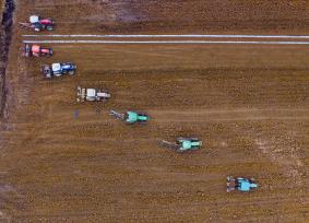 广西来宾：“铁牛”助力甘蔗生产