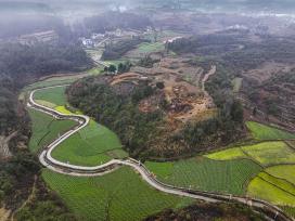 贵州黔西：高标准农田绿意盎然绘就田园盛景