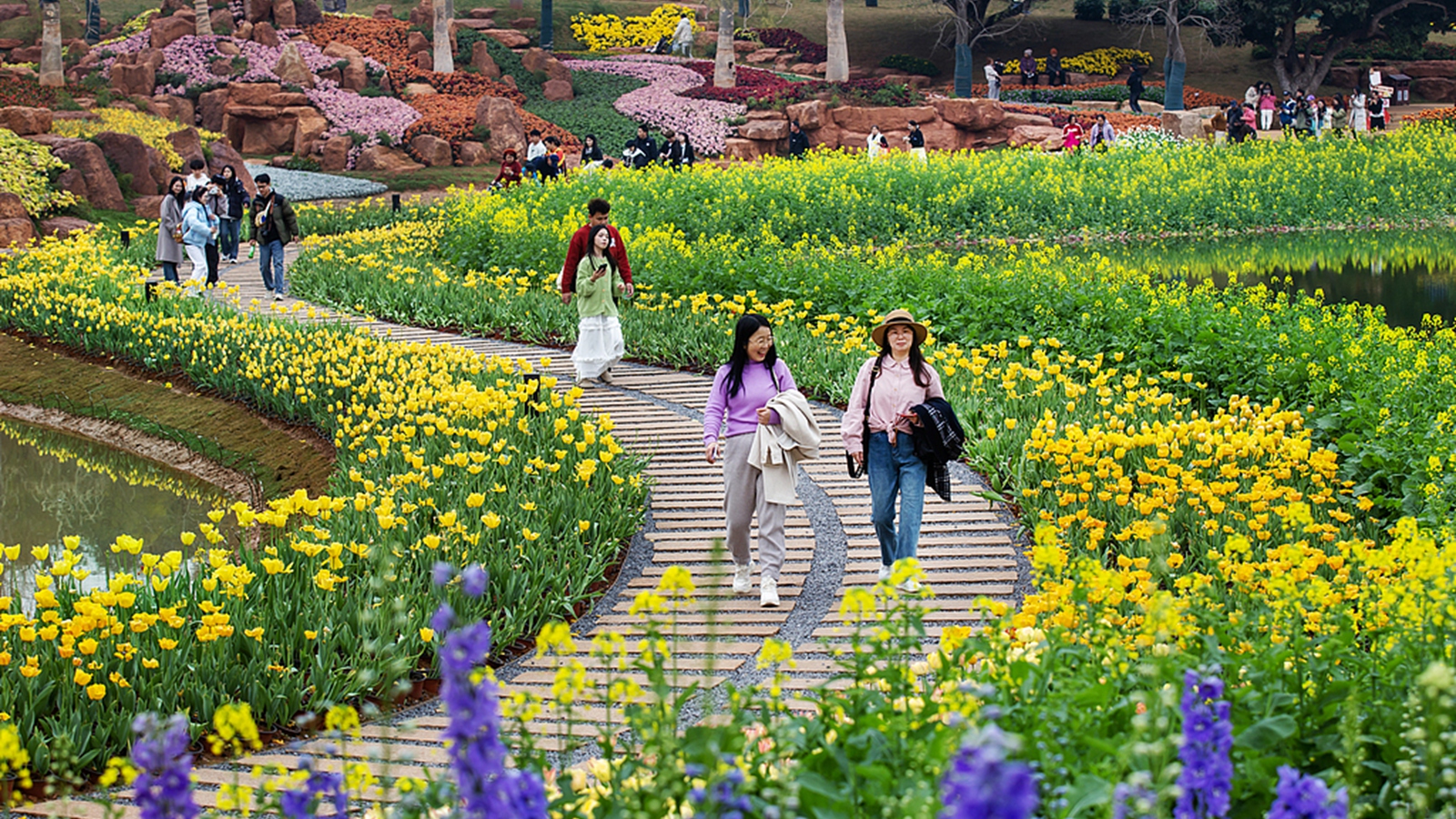 广西南宁：青秀山百花争艳迎客来