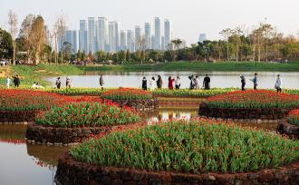 广西南宁：青秀山百花争艳迎客来