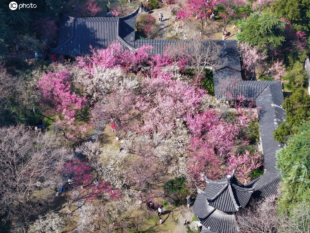 江苏南京：游客在雨花台踏青赏花