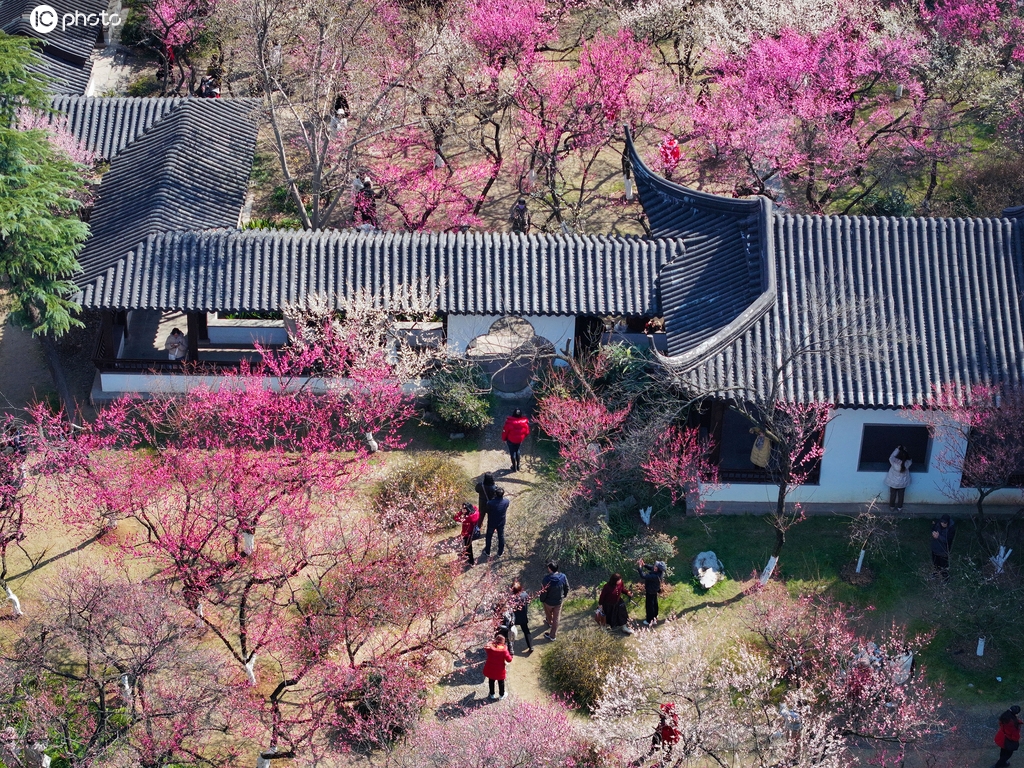 江苏南京：游客在雨花台踏青赏花