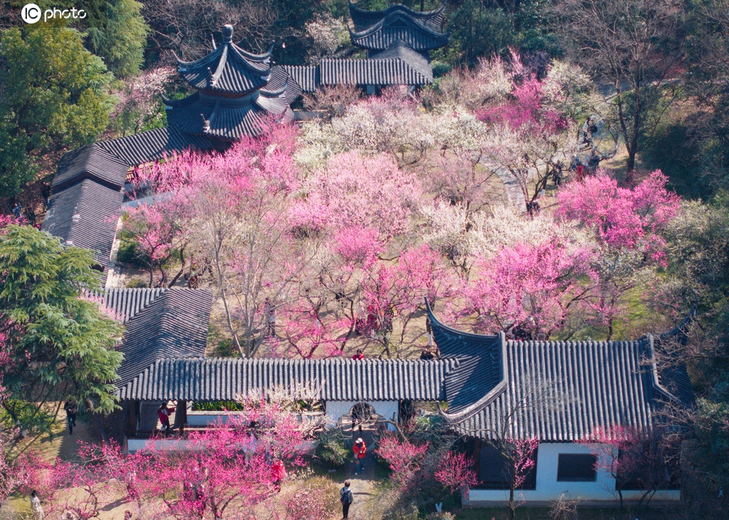 江苏南京：游客在雨花台踏青赏花