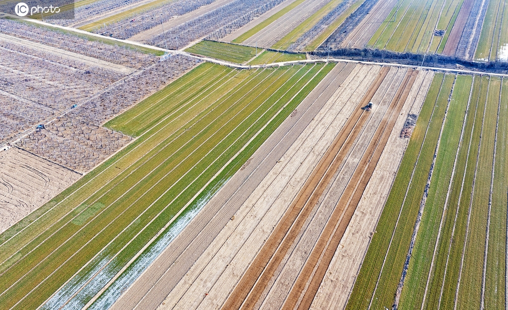 山西临汾：农民开展土地旋耕等整地作业
