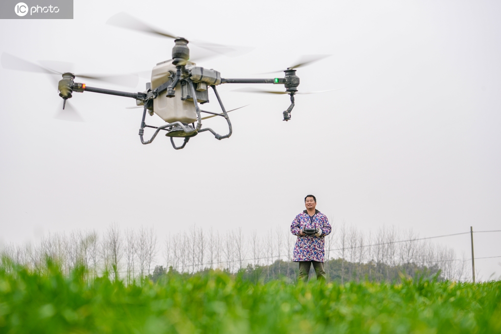 安徽合肥：农户操作植保无人机播撒肥料