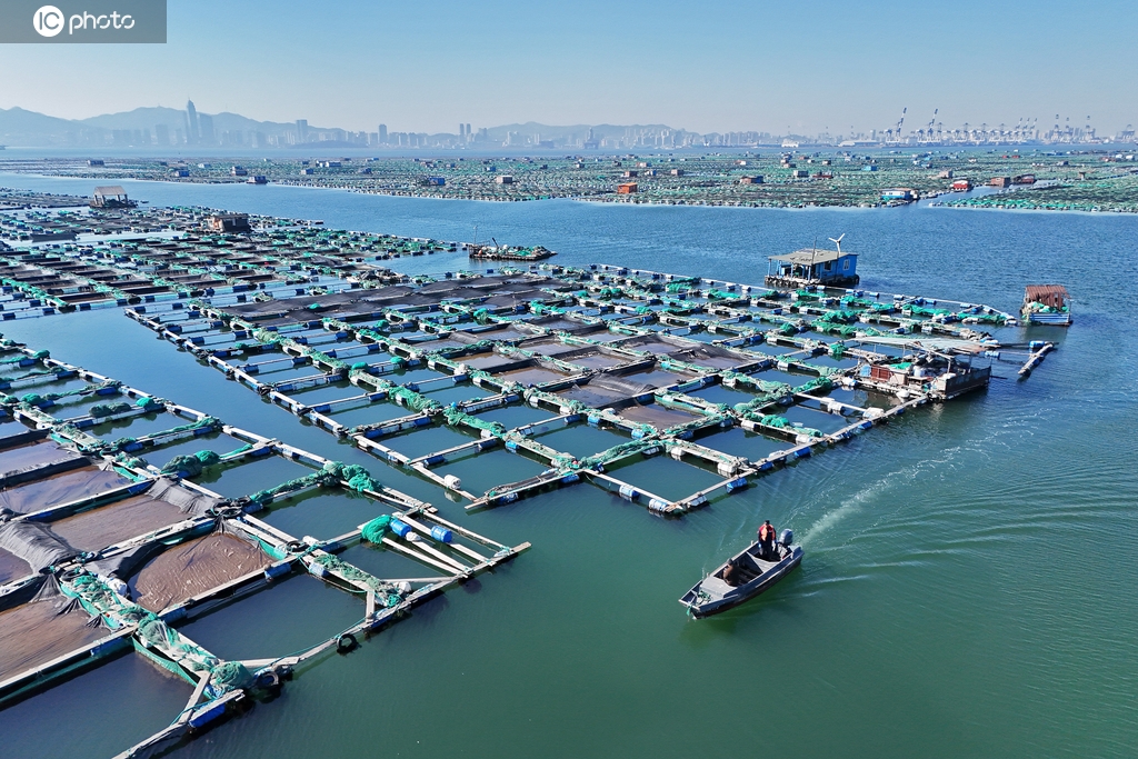 山东烟台：海上牧场春耕忙