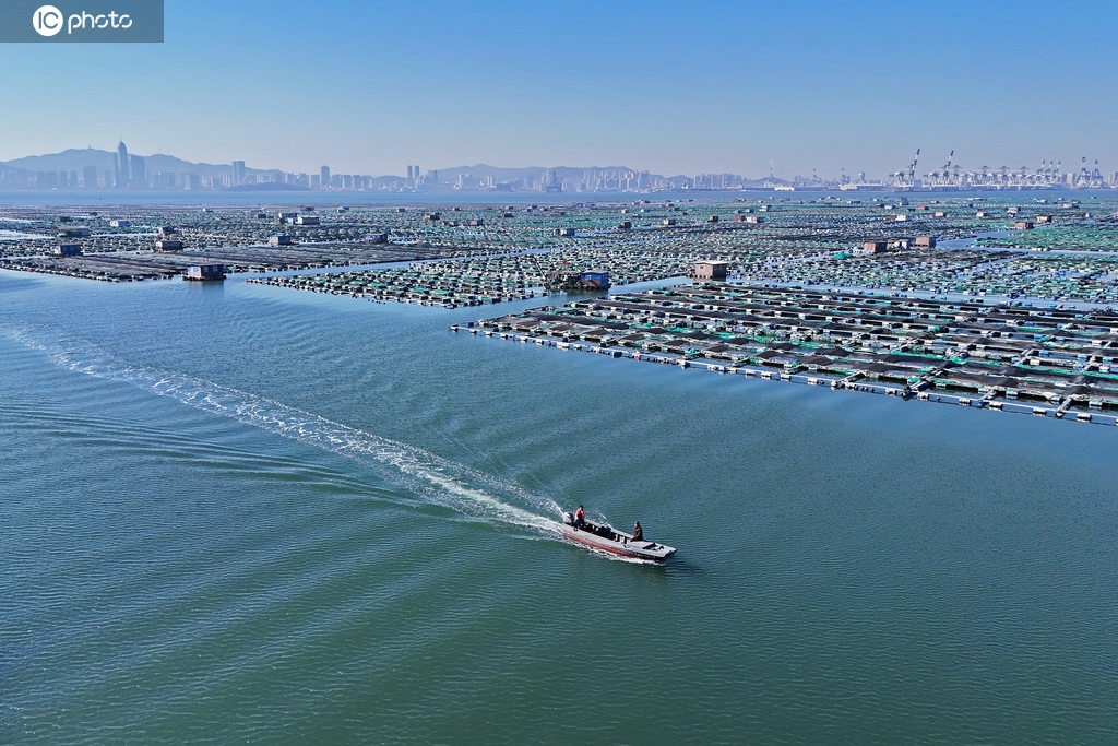 山东烟台：海上牧场春耕忙