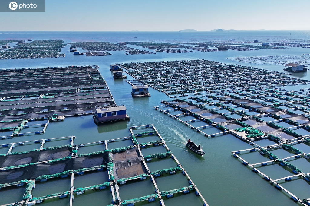 山东烟台：海上牧场春耕忙