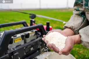 安徽合肥：农户操作植保无人机播撒肥料