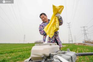 安徽合肥：农户操作植保无人机播撒肥料