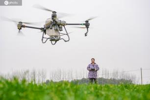 安徽合肥：农户操作植保无人机播撒肥料