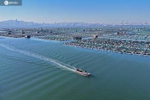 山东烟台：海上牧场春耕忙