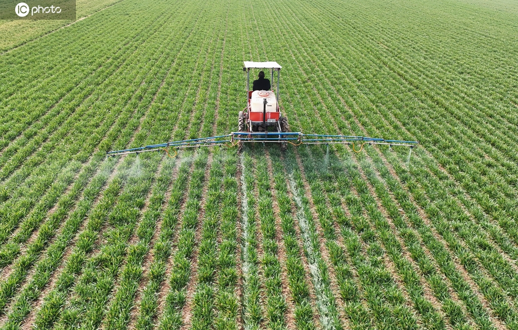 河南宝丰：人勤春来早 农忙正当时