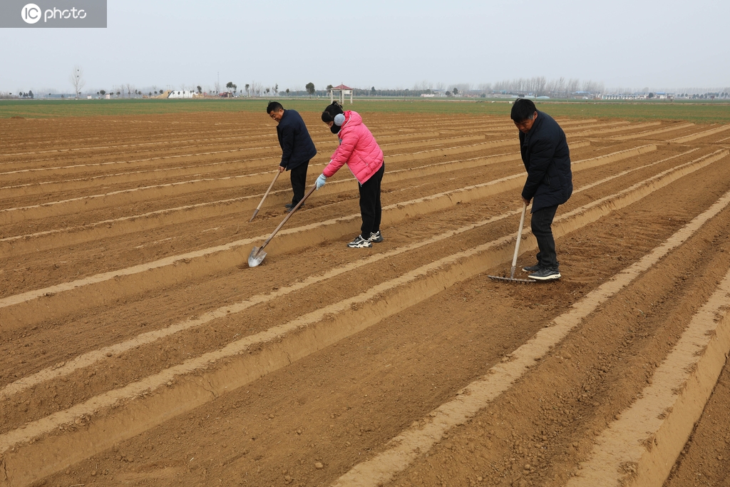 河南宝丰：人勤春来早 农忙正当时