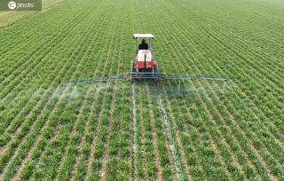 河南宝丰：人勤春来早 农忙正当时