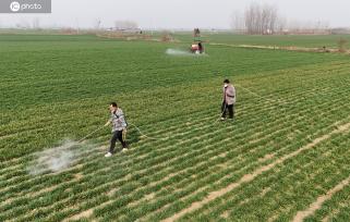 河南宝丰：人勤春来早 农忙正当时