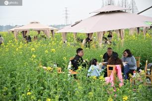 四川成都：游客体验花田火锅