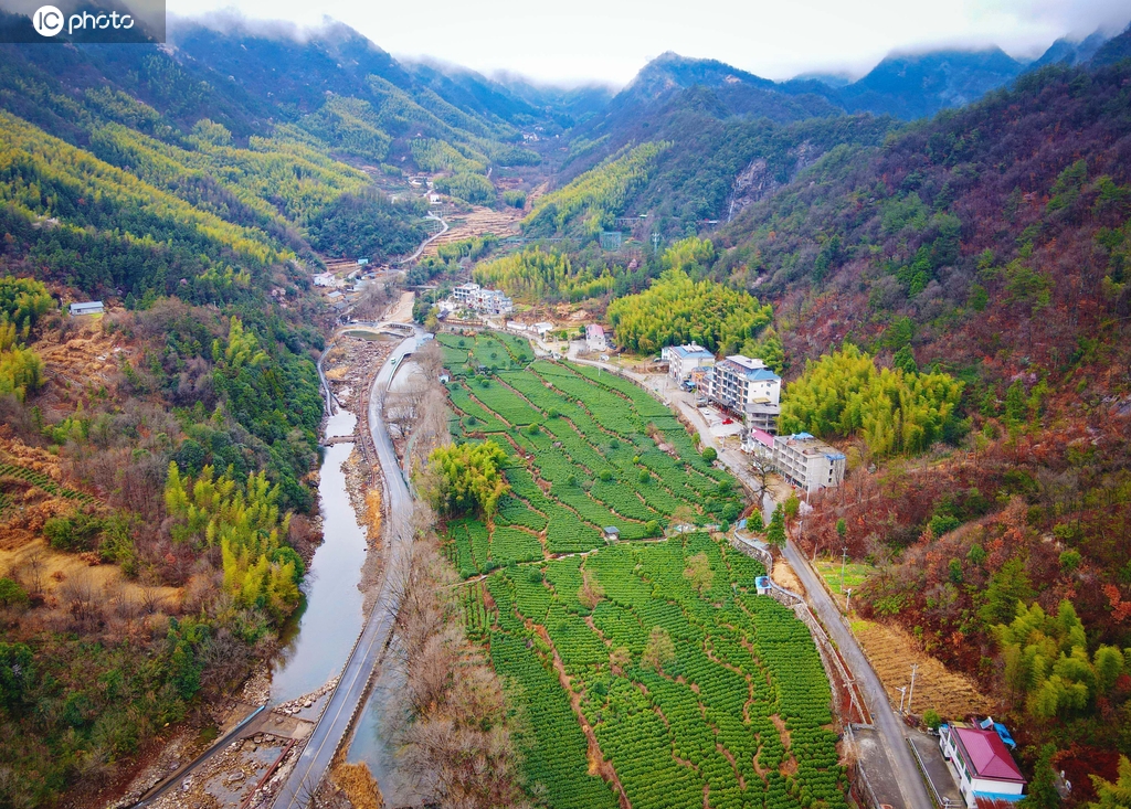 安徽岳西：农旅融合 奏响乡村振兴“幸福曲”