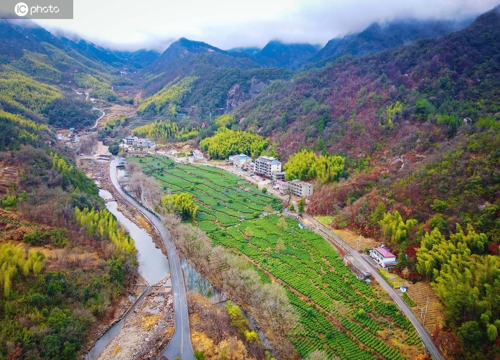 安徽岳西：农旅融合 奏响乡村振兴“幸福曲”