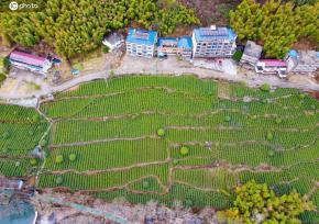 安徽岳西：农旅融合 奏响乡村振兴“幸福曲”