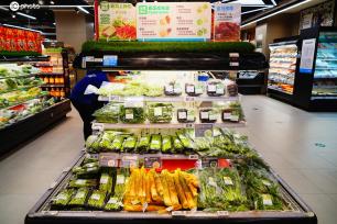 北京80余种头茬春菜新鲜上市