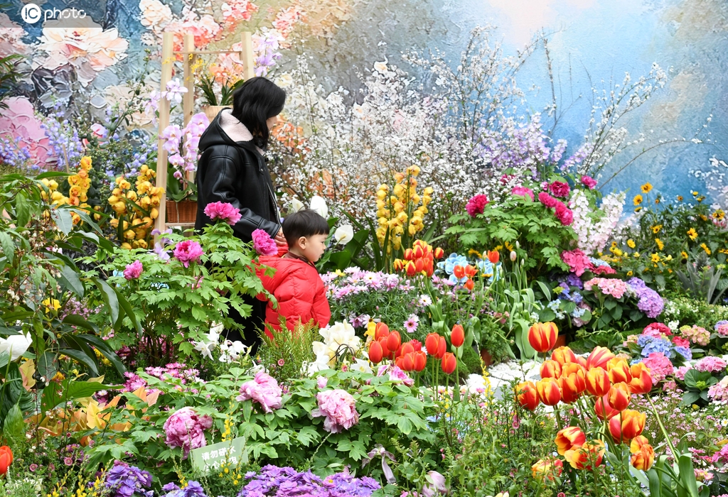 重庆：“莫奈花园”景致如画 吸引市民欣赏