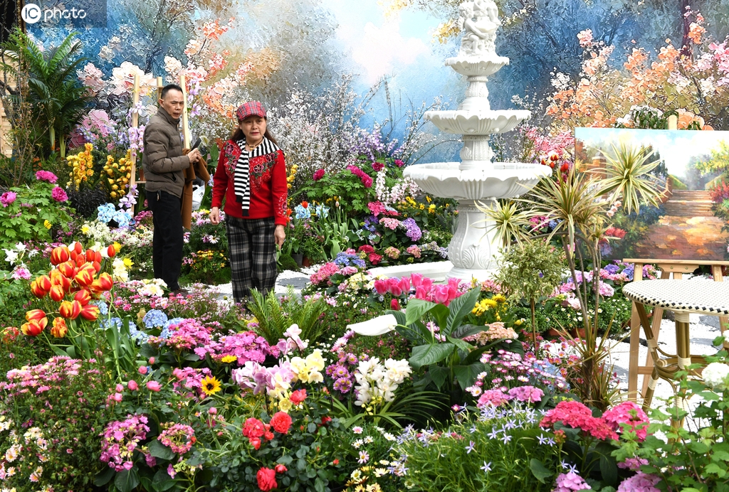 重庆：“莫奈花园”景致如画 吸引市民欣赏