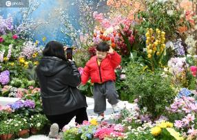 重庆：“莫奈花园”景致如画 吸引市民欣赏