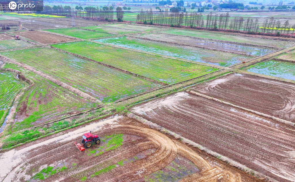 江西丰城：高标准农田春耕有序推进
