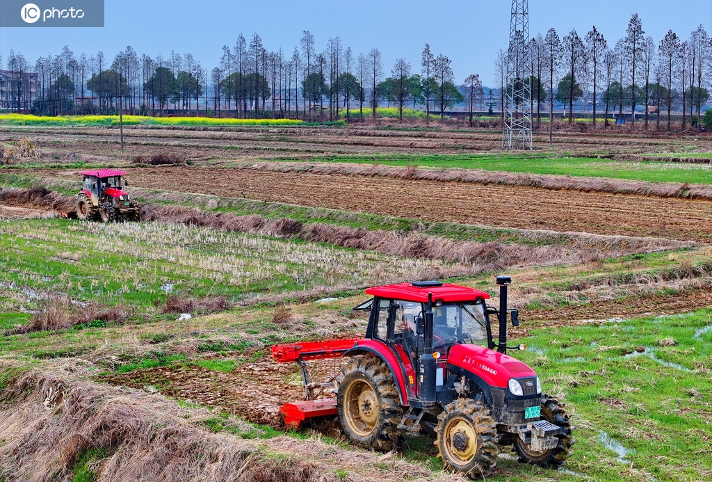 江西丰城：高标准农田春耕有序推进