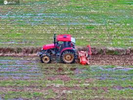江西丰城：高标准农田春耕有序推进
