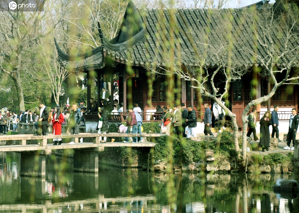 江苏苏州：垂柳吐芽春意浓