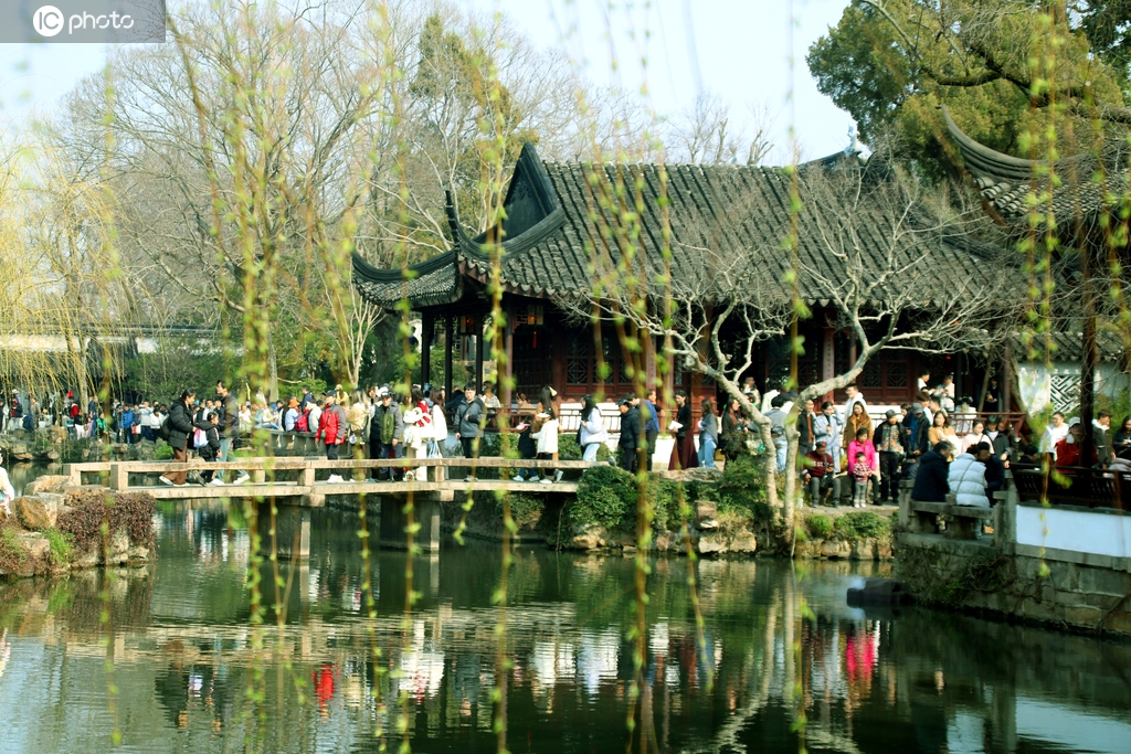 江苏苏州：垂柳吐芽春意浓