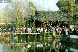 江苏苏州：垂柳吐芽春意浓