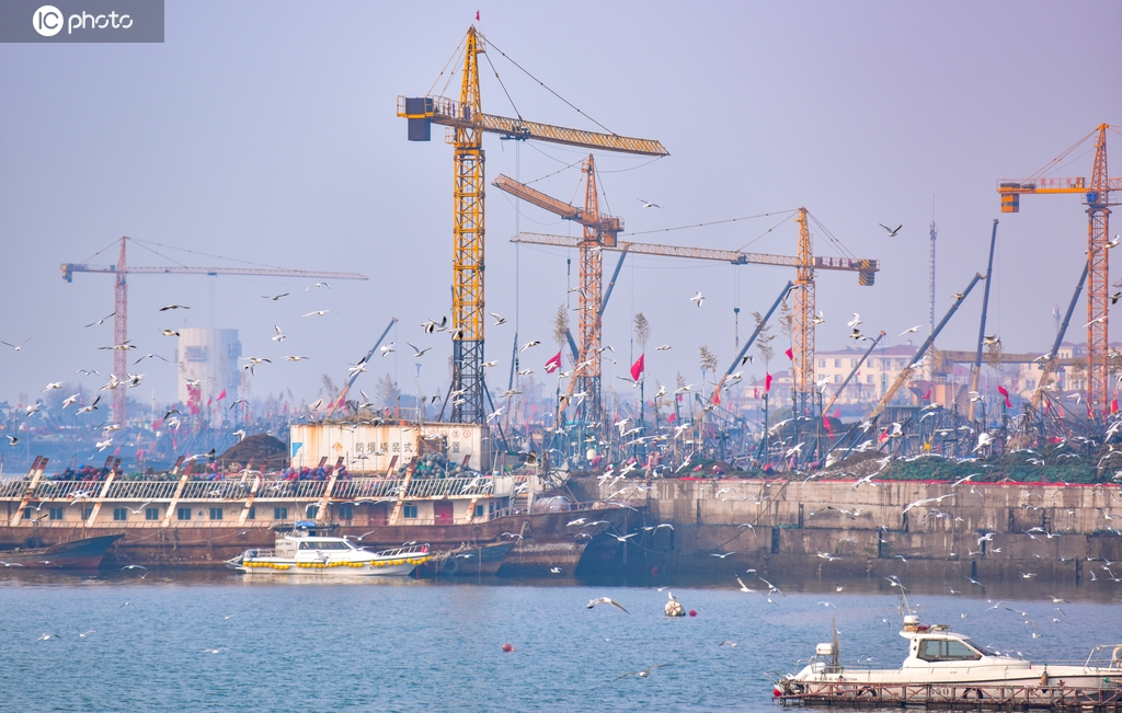 山东日照：岚山渔港生机勃勃