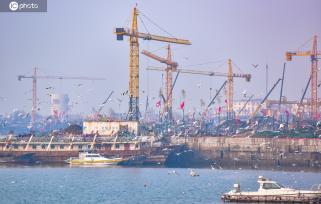 山东日照：岚山渔港生机勃勃