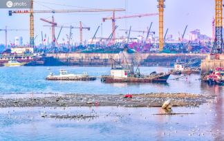 山东日照：岚山渔港生机勃勃