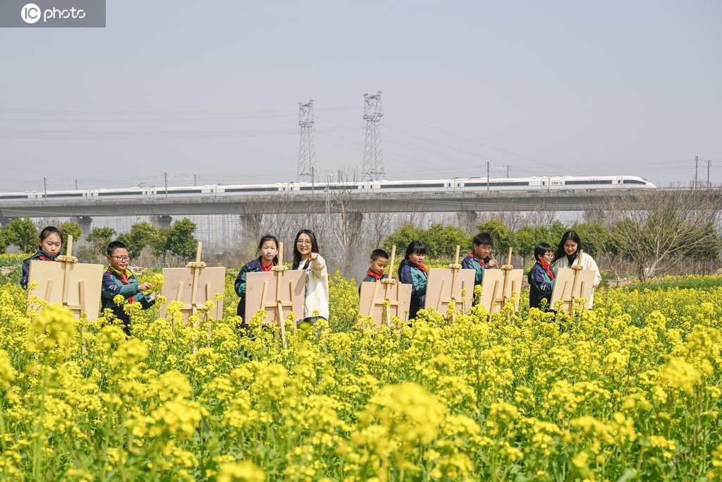合肥：学生花海写生