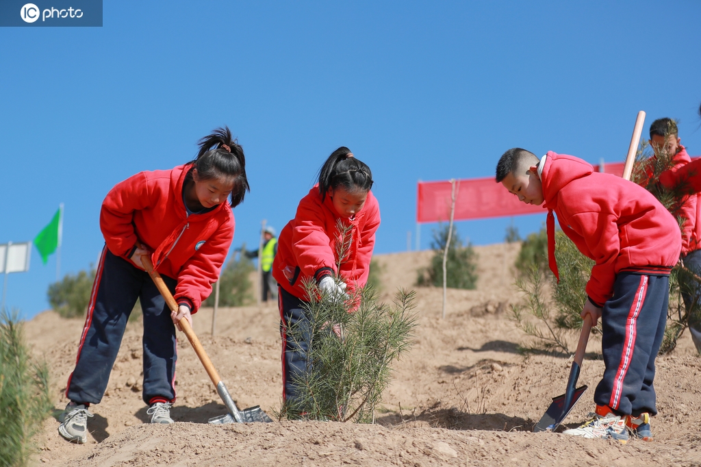 甘肃天水：义务植树添新绿