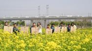 合肥：学生花海写生