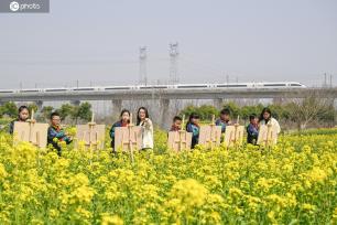 合肥：学生花海写生