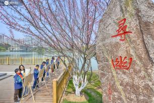 合肥：学生花海写生