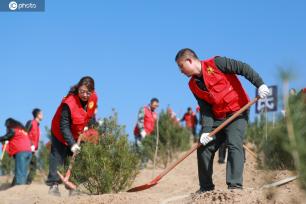 甘肃天水：义务植树添新绿