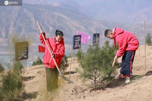 甘肃天水：义务植树添新绿