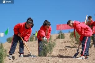 甘肃天水：义务植树添新绿