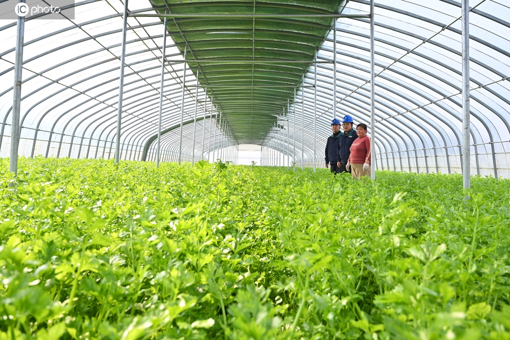 河南鄢陵：保电到田间 护航春耕用电安全