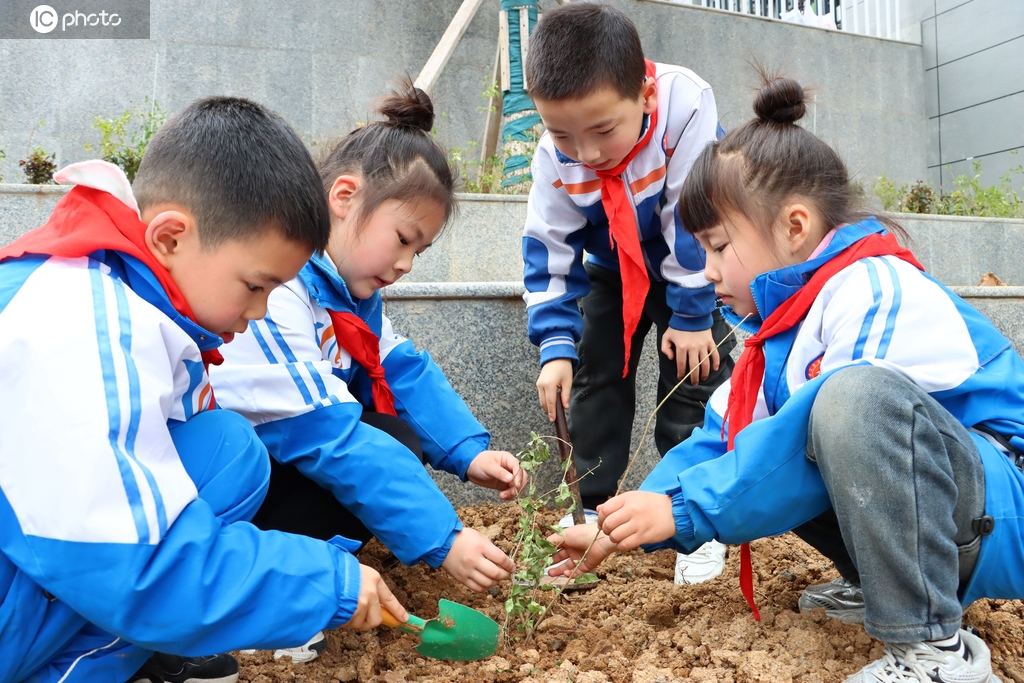 四川通江：校园植树添新绿