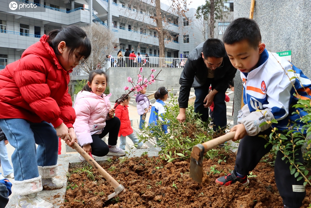 四川通江：校园植树添新绿